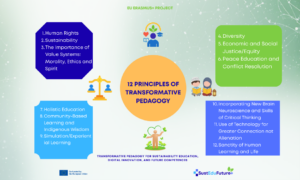 Sustedu article 2
